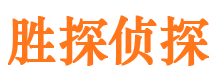 绿园市私家侦探